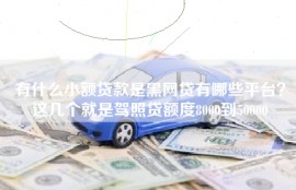 有什么小额贷款是黑网贷有哪些平台？这几个就是驾照贷额度8000到50000