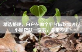 精选整理，白户在哪个平台借款易通过小额贷款一览表，拿走不谢