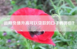 近期负债升高可以贷款的口子有哪些？