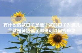 有什么借款口子是能下款的口子？这几个就是征信黑了哪里可以借钱应急