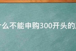 为什么不能申购300开头的股票