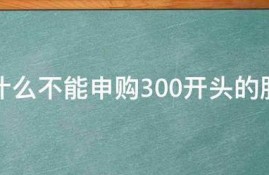 为什么不能申购300开头的股票