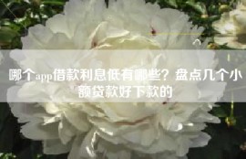 哪个app借款利息低有哪些？盘点几个小额贷款好下款的