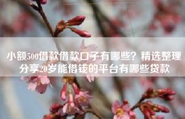 小额500借款借款口子有哪些？精选整理分享20岁能借钱的平台有哪些贷款