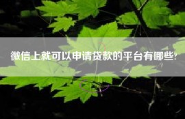 微信上就可以申请贷款的平台有哪些?