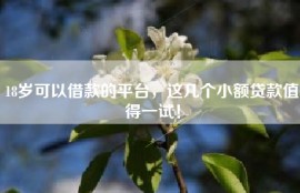 18岁可以借款的平台，这几个小额贷款值得一试！
