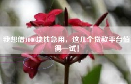 我想借1000块钱急用，这几个贷款平台值得一试！