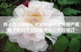 网上借钱被拒，试试这些网黑逾期严重能下款的平台贷款平台，不容错过