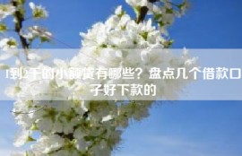 1到2千的小额贷有哪些？盘点几个借款口子好下款的