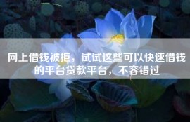 网上借钱被拒，试试这些可以快速借钱的平台贷款平台，不容错过