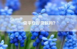 贷平安好贷款吗？