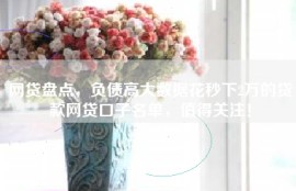 网贷盘点，负债高大数据花秒下2万的贷款网贷口子名单，值得关注！
