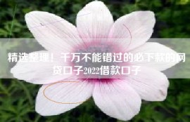 精选整理！千万不能错过的必下款的网贷口子2022借款口子