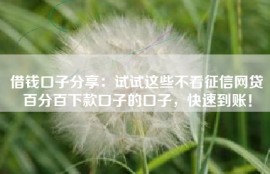 借钱口子分享：试试这些不看征信网贷百分百下款口子的口子，快速到账！