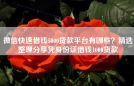 微信快速借钱5000贷款平台有哪些？精选整理分享凭身份证借钱1000贷款