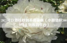 2023可以借钱秒到不用审核（小额借款5000马上到账的平台）