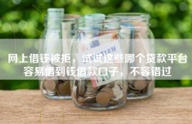 网上借钱被拒，试试这些哪个贷款平台容易借到钱借款口子，不容错过