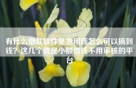 有什么借款软件是急用钱怎么可以搞到钱？这几个就是小额借钱不用审核的平台