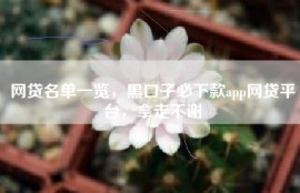 网贷名单一览，黑口子必下款app网贷平台，拿走不谢