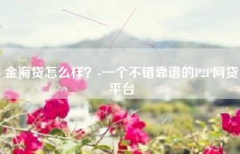 金海贷怎么样？-一个不错靠谱的P2P网贷平台