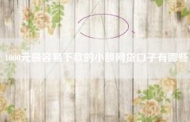 1000元最容易下款的小额网贷口子有哪些