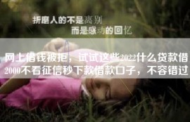 网上借钱被拒，试试这些2022什么贷款借2000不看征信秒下款借款口子，不容错过