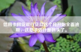 信用卡网贷银行贷款这个月开始全面逾期，这辈子估计是到头了。