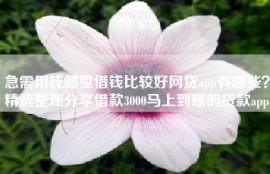 急需用钱哪里借钱比较好网贷app有哪些？精选整理分享借款3000马上到账的贷款app