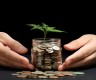征信贷款系统必试这5个！本篇为您精心诠释！