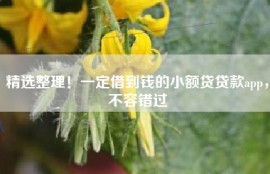 精选整理！一定借到钱的小额贷贷款app，不容错过