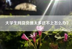 大学生网贷负债太多还不上怎么办？