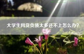 大学生网贷负债太多还不上怎么办？