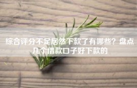 综合评分不足居然下款了有哪些？盘点几个借款口子好下款的