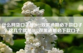 什么网贷口子是2022双黑逾期必下款口子？这几个就是2022双黑逾期必下款口子