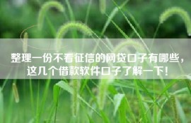 整理一份不看征信的网贷口子有哪些，这几个借款软件口子了解一下！