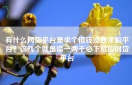 有什么网贷平台是求个借钱没要求的平台？这几个就是借一两千必下款的网贷平台