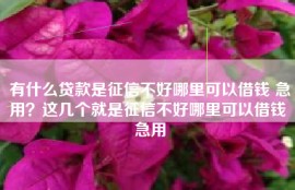 有什么贷款是征信不好哪里可以借钱 急用？这几个就是征信不好哪里可以借钱 急用