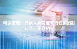 精选整理！只输入身份证号借钱的借款口子，不容错过