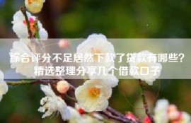 综合评分不足居然下款了贷款有哪些？精选整理分享几个借款口子