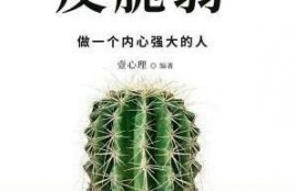 有什么好赚钱的副业可以做吗？