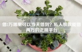 借2万哪里可以当天借到？私人放款能借两万的正规平台