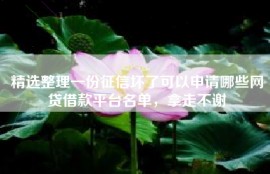 精选整理一份征信坏了可以申请哪些网贷借款平台名单，拿走不谢