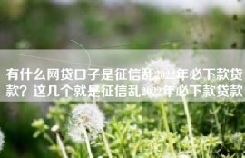 有什么网贷口子是征信乱2022年必下款贷款？这几个就是征信乱2022年必下款贷款