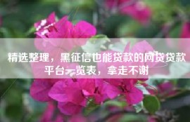 精选整理，黑征信也能贷款的网贷贷款平台一览表，拿走不谢