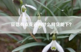 征信有点花还有什么网贷能下？