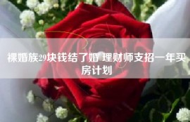 裸婚族29块钱结了婚 理财师支招一年买房计划