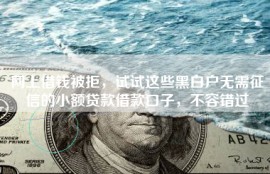 网上借钱被拒，试试这些黑白户无需征信的小额贷款借款口子，不容错过