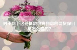 对于网上这些低额度高利息的网贷你们是怎么看的？