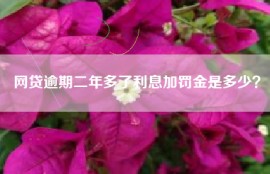 网贷逾期二年多了利息加罚金是多少？