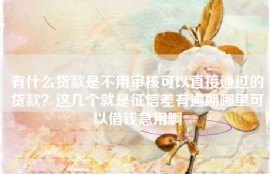 有什么贷款是不用审核可以直接通过的贷款？这几个就是征信差有逾期哪里可以借钱急用啊
